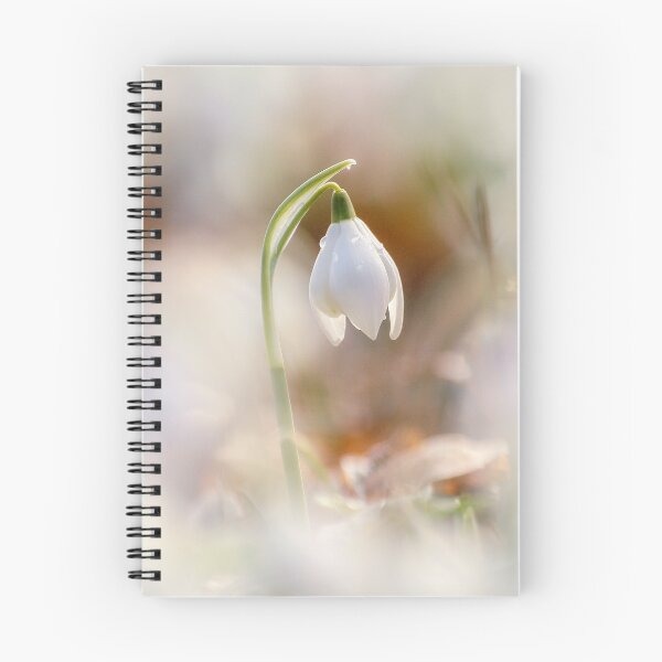 Item preview, Digital photograph of a Snowdrop flower designed and sold by SimonJohnson1.