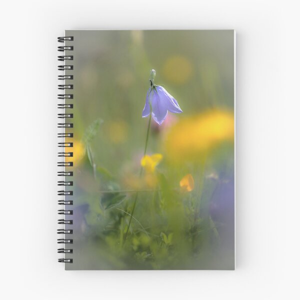 Item preview, Digital photograph of a Sunllit Harebell flower designed and sold by SimonJohnson1.