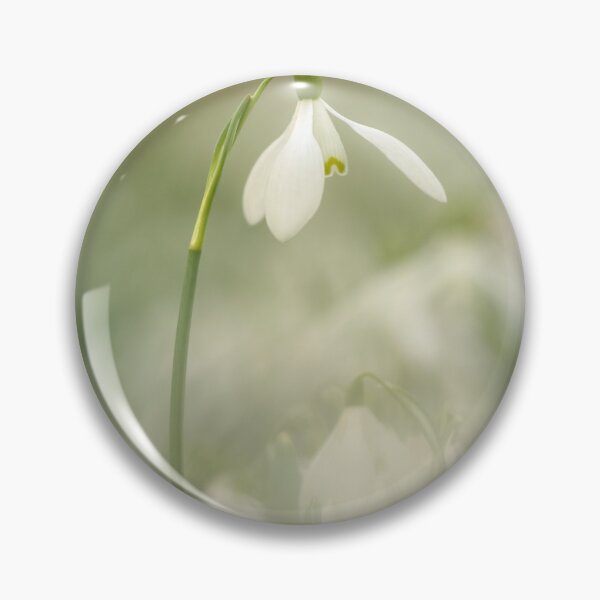 Item preview, Digital photograph of a Snowdrop flower designed and sold by SimonJohnson1.