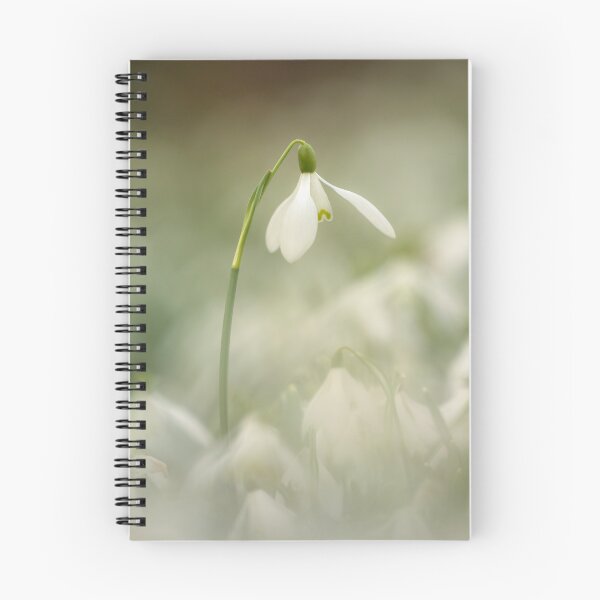 Item preview, Digital photograph of a Snowdrop flower designed and sold by SimonJohnson1.