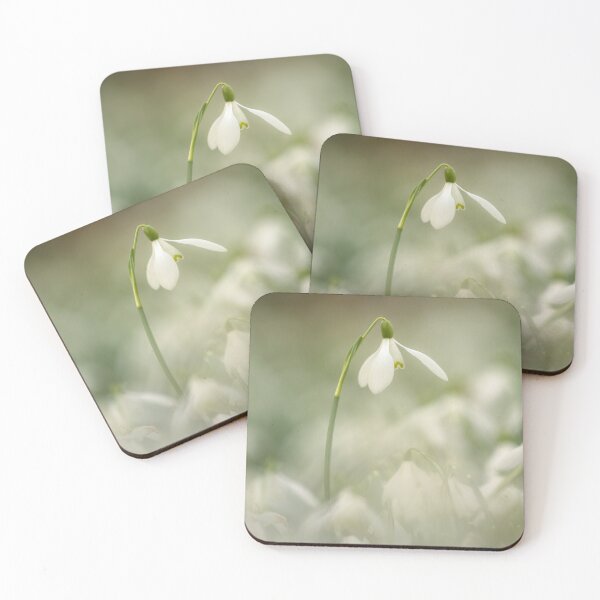 Item preview, Digital photograph of a Snowdrop flower designed and sold by SimonJohnson1.