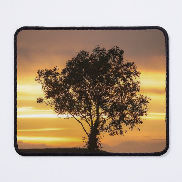 Item preview, Digital photograph of a tree Silhouette at sunset designed and sold by SimonJohnson1.