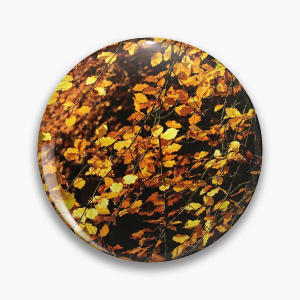 Item preview, Digital photograph of sunlit autumn beech leaves designed and sold by SimonJohnson1.