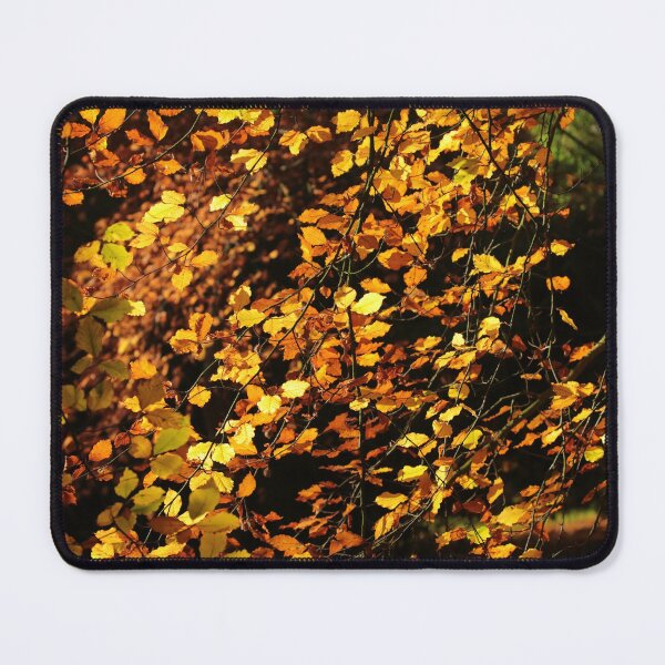 Item preview, Digital photograph of sunlit autumn beech leaves designed and sold by SimonJohnson1.