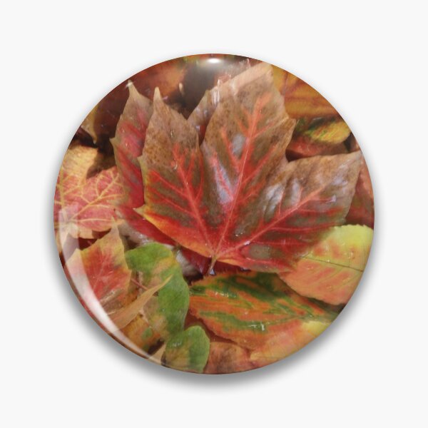 Item preview, digital photograph of  autumn leaf collage designed and sold by SimonJohnson1.