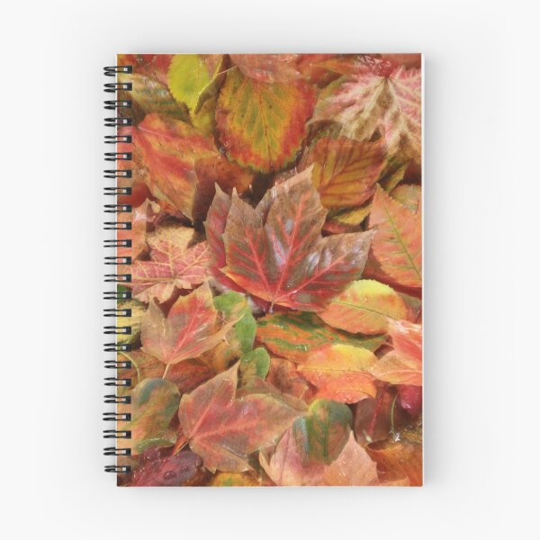 Item preview, digital photograph of  autumn leaf collage designed and sold by SimonJohnson1.