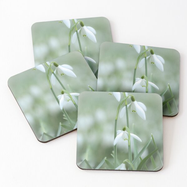 Item preview, Digital photograph of four Snowdrop flowers designed and sold by SimonJohnson1.