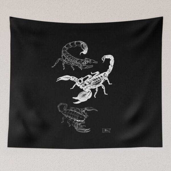Item preview, Scorpions of Africa designed and sold by DavidNeffArt.