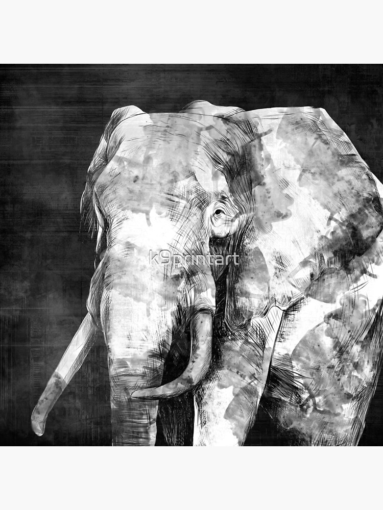 "Black and white Elephant Digital Art" Poster by k9printart Redbubble