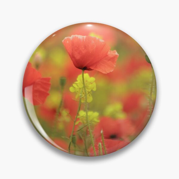 Item preview, Digital photograph of  poppy flowers in rape seed designed and sold by SimonJohnson1.