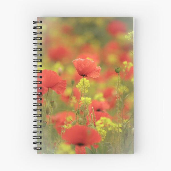 Item preview, Digital photograph of  poppy flowers in rape seed designed and sold by SimonJohnson1.