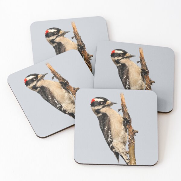 Item preview, Male Downy Woodpecker on the Pear Tree designed and sold by walkswithnature.
