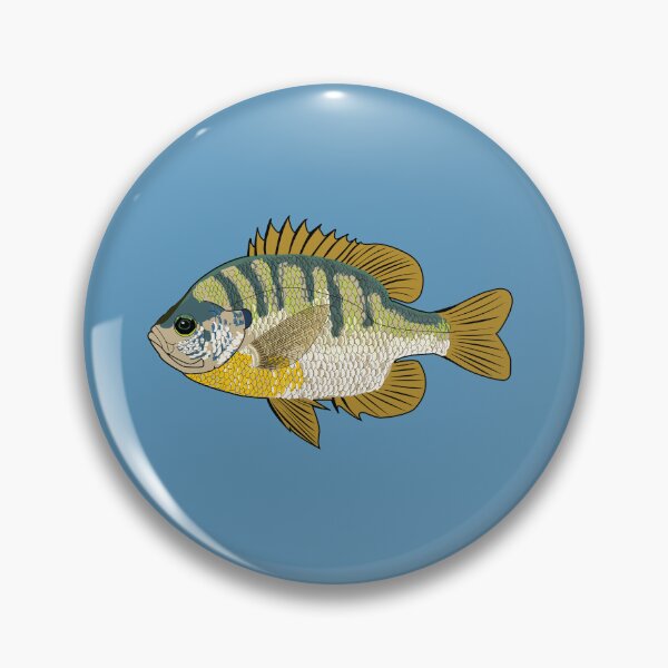 Item preview, Bluegill Lepomis Macrochirus designed and sold by KZiegman.
