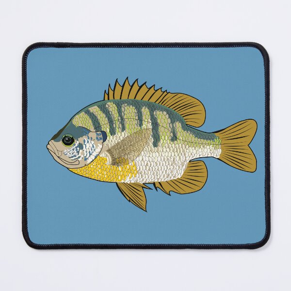 Item preview, Bluegill Lepomis Macrochirus designed and sold by KZiegman.