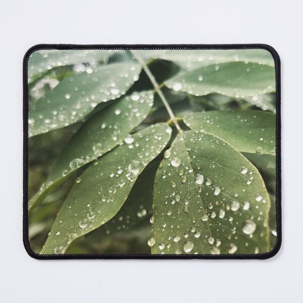 Item preview, Rain on the Acacia designed and sold by NakaArt.