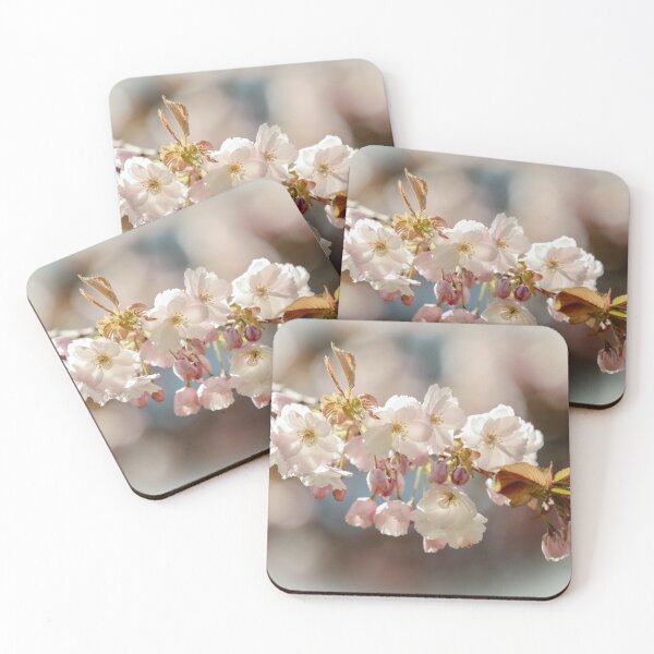 Item preview, Digital photograph of  white Cherry blossom designed and sold by SimonJohnson1.