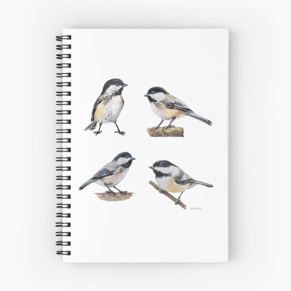 Item preview, Chickadee drawing sticker set designed and sold by Emily Bickell.