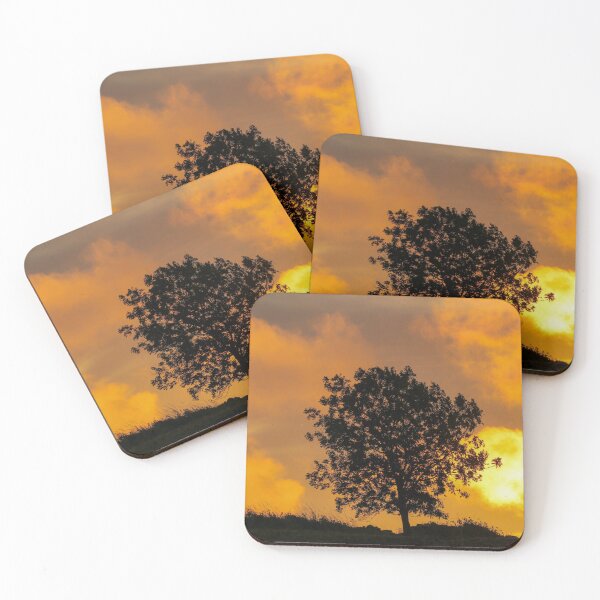 Item preview, Digital photograph of  tree silhouette at sunrise designed and sold by SimonJohnson1.