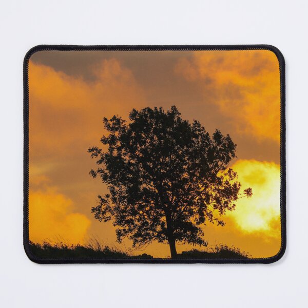 Item preview, Digital photograph of  tree silhouette at sunrise designed and sold by SimonJohnson1.