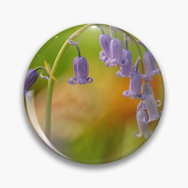 Item preview, Digital photograph of  bluebell flower designed and sold by SimonJohnson1.