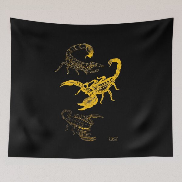 Item preview, Scorpions of Africa designed and sold by DavidNeffArt.