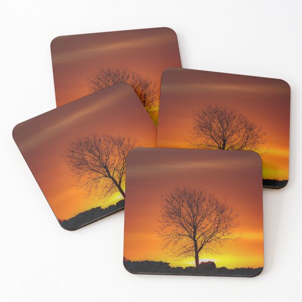 Item preview, Digital photograph of  tree silhouette sunrise designed and sold by SimonJohnson1.