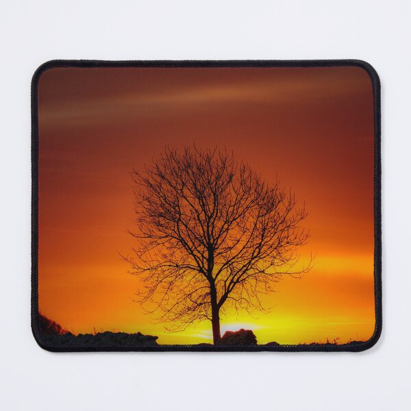 Item preview, Digital photograph of  tree silhouette sunrise designed and sold by SimonJohnson1.