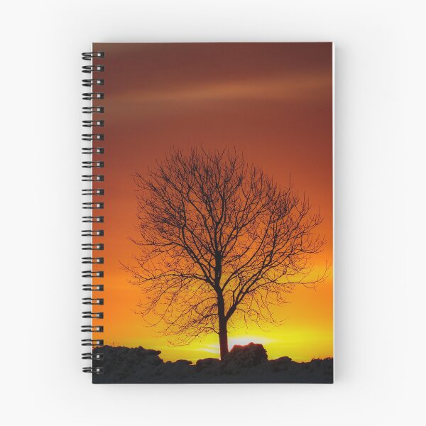 Item preview, Digital photograph of  tree silhouette sunrise designed and sold by SimonJohnson1.