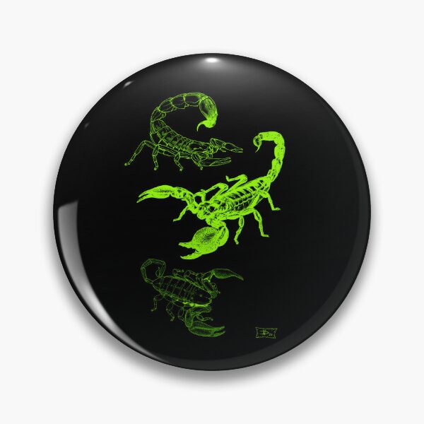 Item preview, Scorpions of Africa designed and sold by DavidNeffArt.