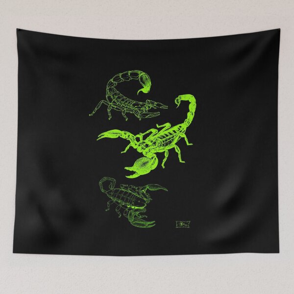 Item preview, Scorpions of Africa designed and sold by DavidNeffArt.