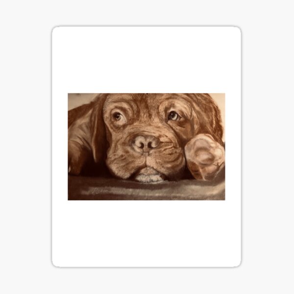 Item preview, A Dogue de Bordeaux zone designed and sold by AAA pavis.