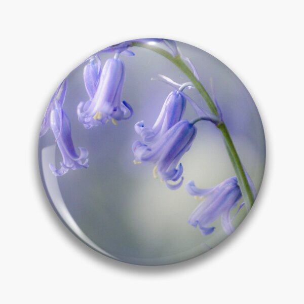 Item preview, Digital photograph of  bluebell flower soft focus designed and sold by SimonJohnson1.
