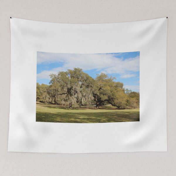 Item preview, Southern Live Oaks designed and sold by Cynthia48.