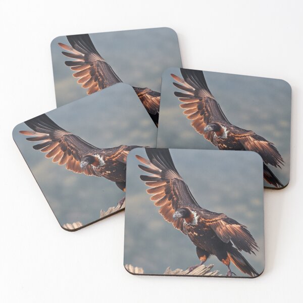 Item preview, wedge tailed eagle designed and sold by falconaro.
