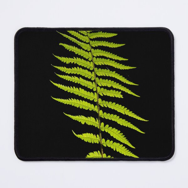 Item preview, Digital photograph of luminous green fern silhouette in colour designed and sold by SimonJohnson1.