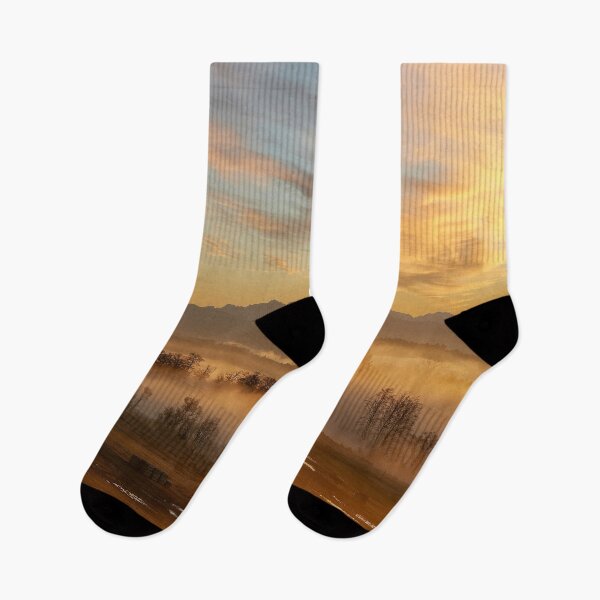 Item preview, Brand New Day designed and sold by Steve Walser.