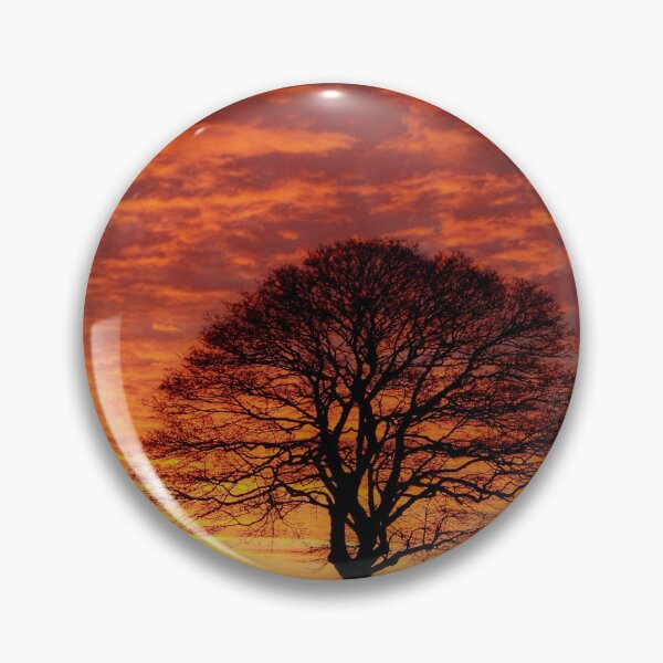 Item preview, Digital photograph of isolated tree silhouette  at sunrise designed and sold by SimonJohnson1.