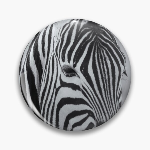 Item preview, Portrait of a Plains Zebra bw designed and sold by Belinda Greb Photography.