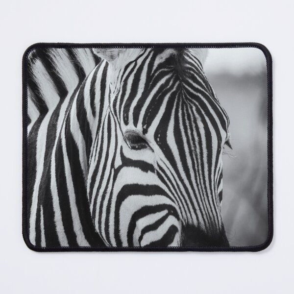Item preview, Portrait of a Plains Zebra bw designed and sold by Belinda Greb Photography.