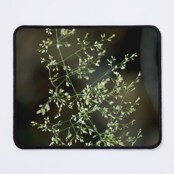 Item preview, Digital photograph of sunlit grass designed and sold by SimonJohnson1.
