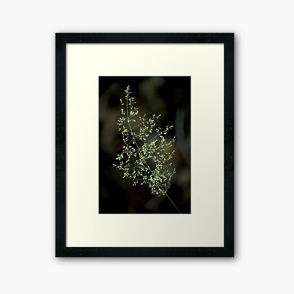 Item preview, Digital photograph of sunlit grass designed and sold by SimonJohnson1.