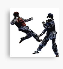 Lienzo taekwondo