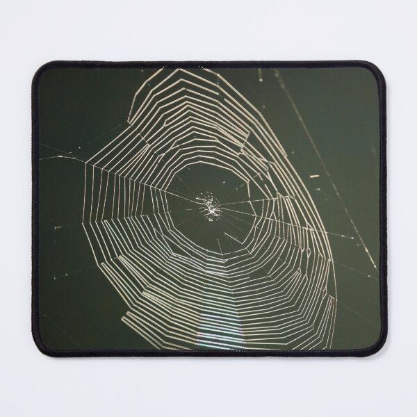 Item preview, Digital photograph of  sunlit spiders web designed and sold by SimonJohnson1.