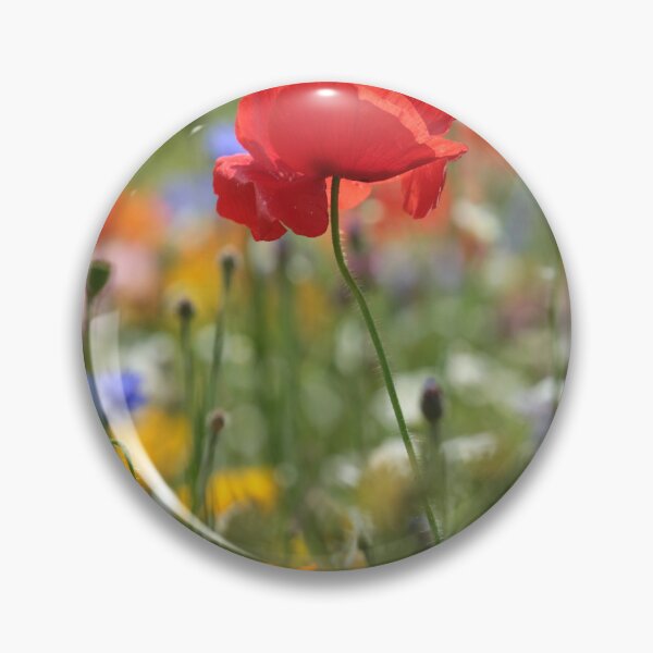 Item preview, Digital photograph of  sunlit Poppy and meadow flowers designed and sold by SimonJohnson1.