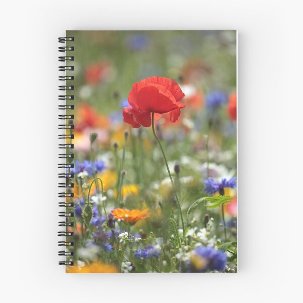 Item preview, Digital photograph of  sunlit Poppy and meadow flowers designed and sold by SimonJohnson1.