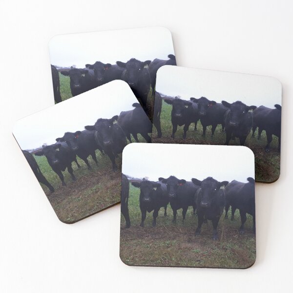 Item preview, Black cows  designed and sold by krsdesigns.