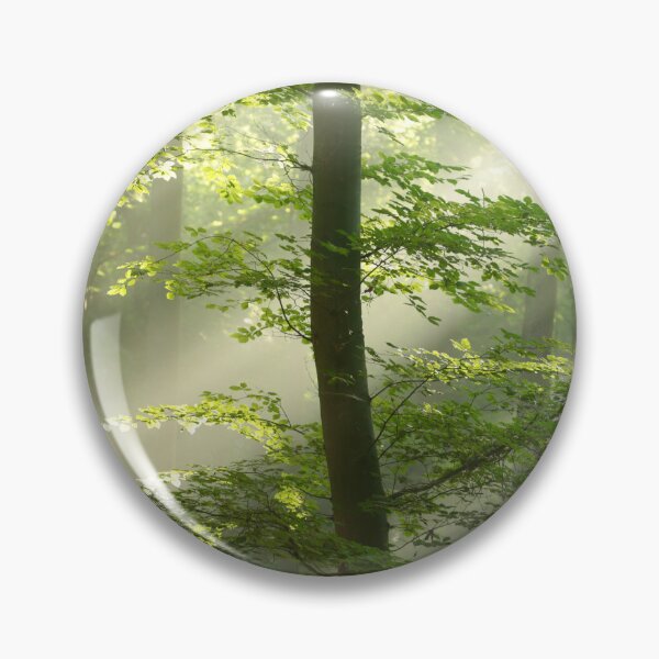 Item preview, Digital photograph of sunlit woodland designed and sold by SimonJohnson1.