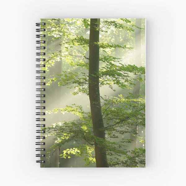 Item preview, Digital photograph of sunlit woodland designed and sold by SimonJohnson1.