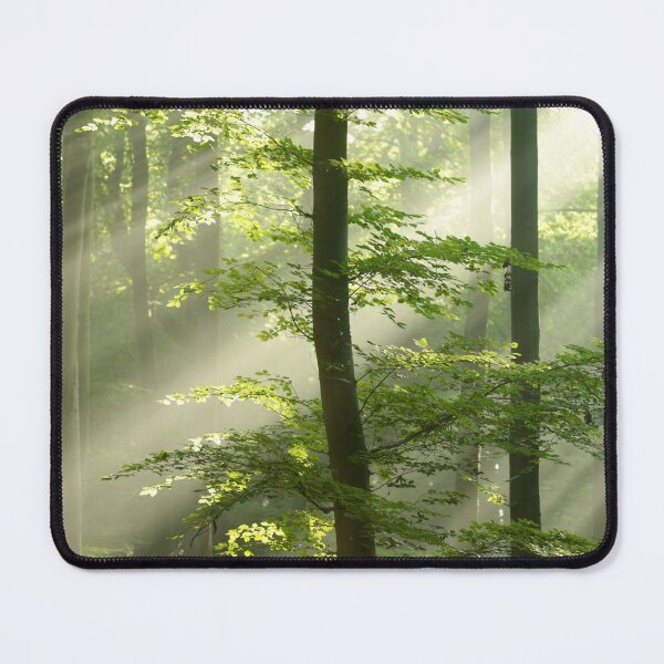 Item preview, Digital photograph of sunlit woodland designed and sold by SimonJohnson1.