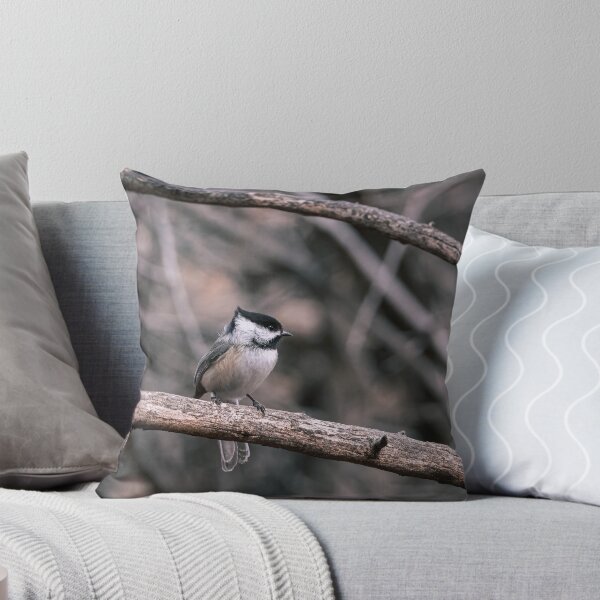 Item preview, Carbonero de cabeza negra designed and sold by CESW Photography.